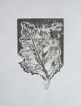 Acanthus Leaf - monoprint (collagraph)